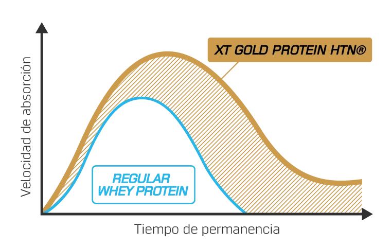 XT Gold vs. proteína regular